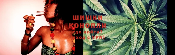 хмурый Россошь