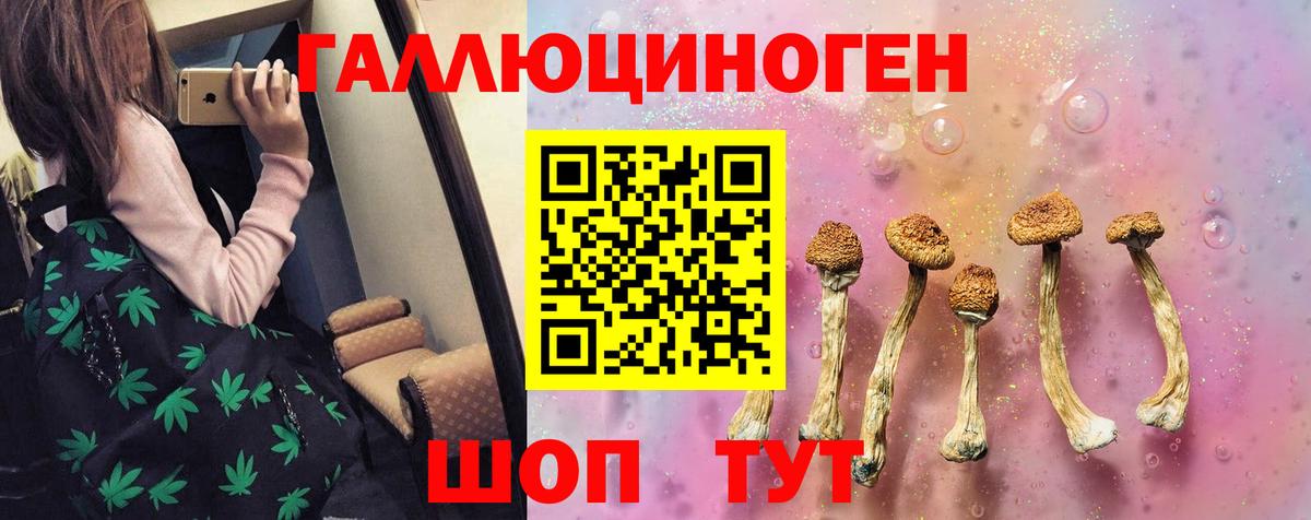 Псилоцибиновые грибы GOLDEN TEACHER  Вход с VPN  Выборг 