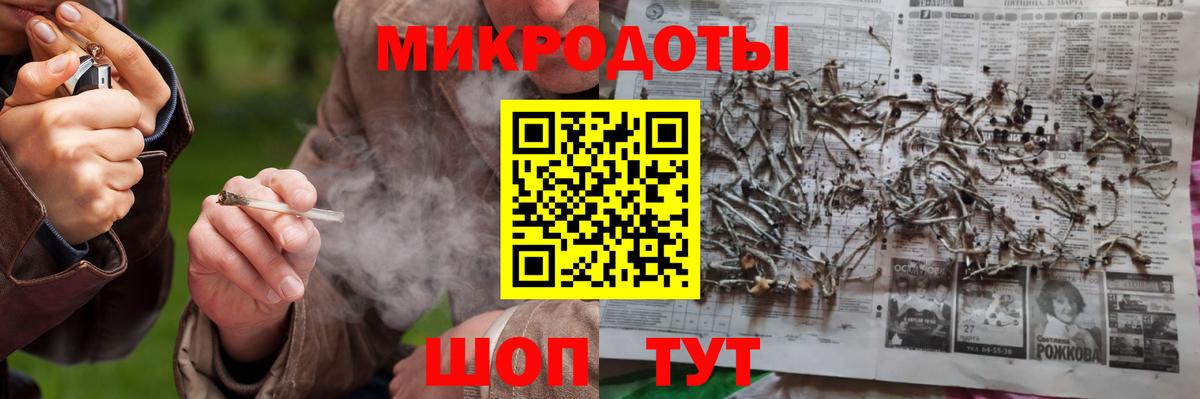 Псилоцибиновые грибы мицелий  Галлюциногенные грибы Psilocybine cubensis  Выборг 