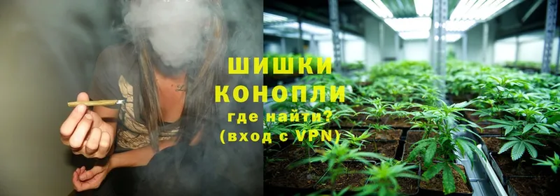 Бошки Шишки THC 21%  купить наркоту  Выборг 